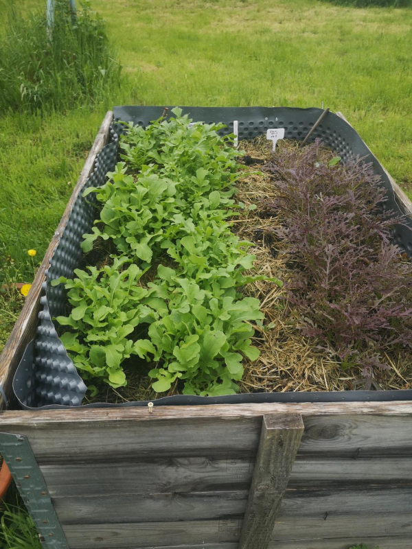 Gartenansicht 1